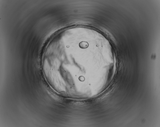 X0000092261027200710121335