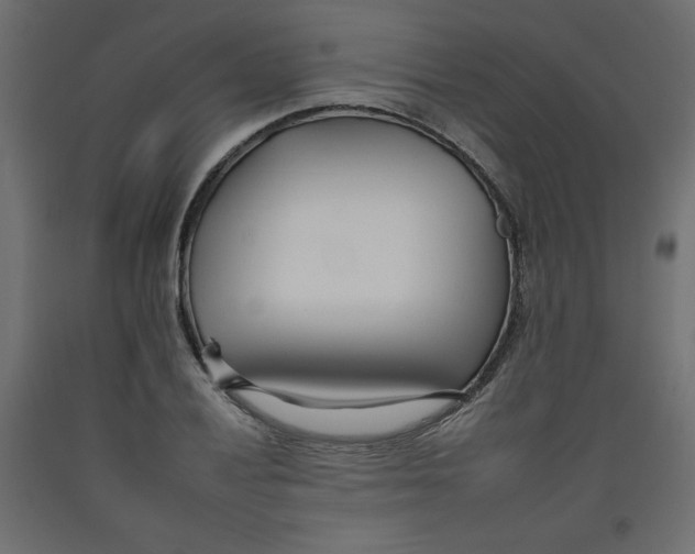 X0000092261028200710121335