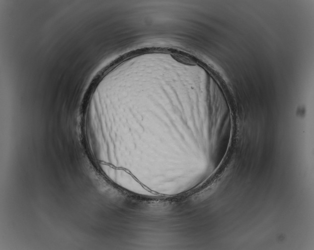 X0000092261029200710121335