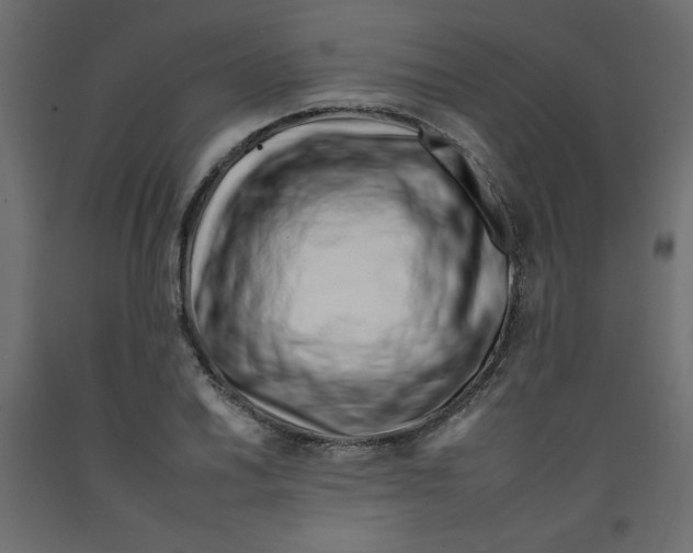 X0000092261030200710121335