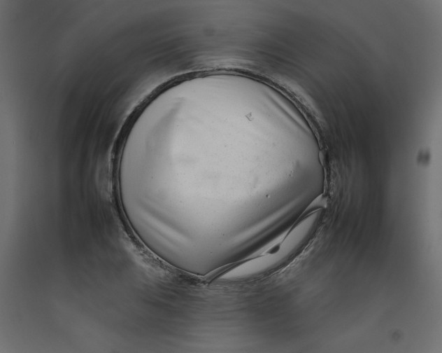 X0000092261031200710121335