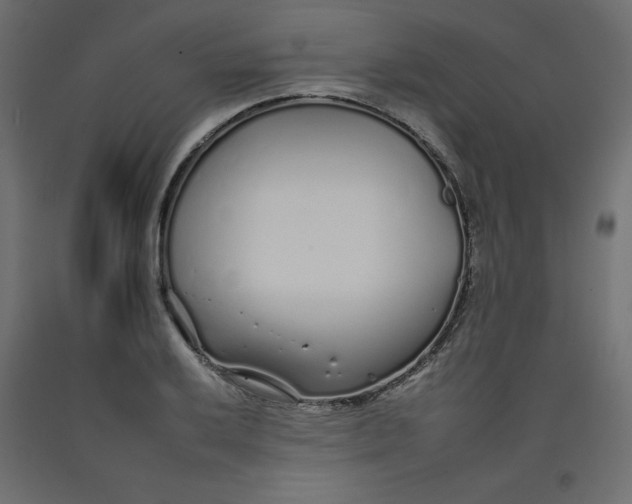 X0000092261032200710121335