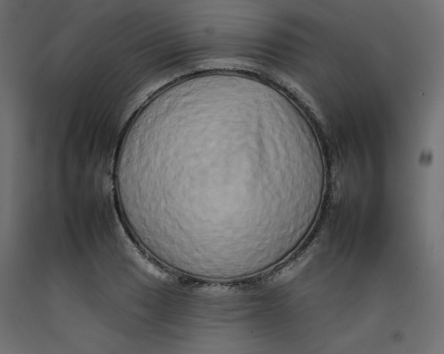 X0000092261033200710121335