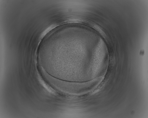 X0000092261034200710121335