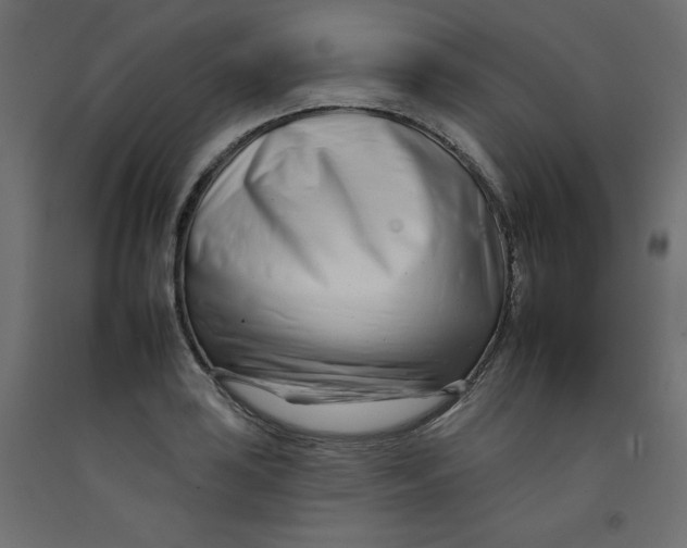 X0000092261035200710121335