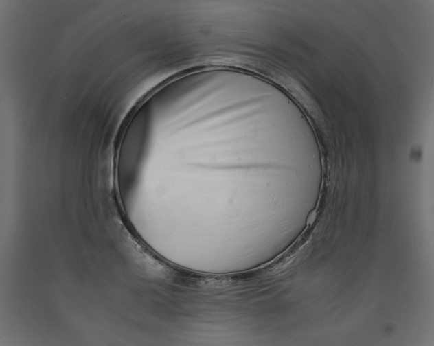 X0000092261036200710121335