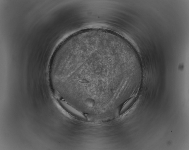 X0000092261037200710121335