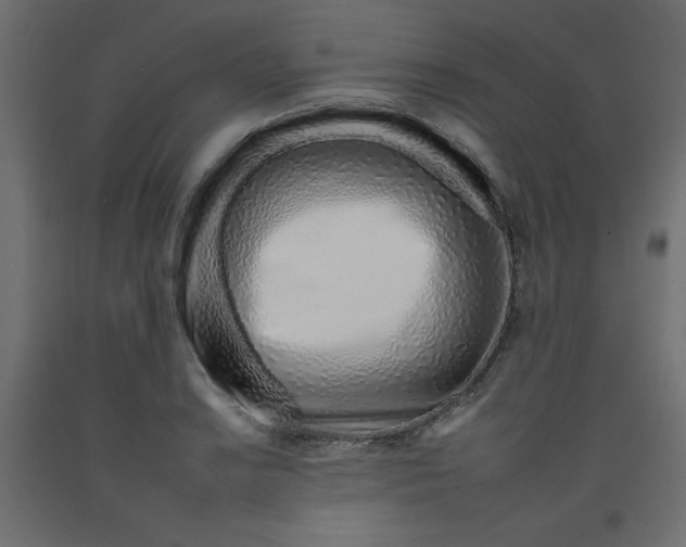 X0000092261038200710121335