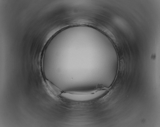 X0000092261039200710121335