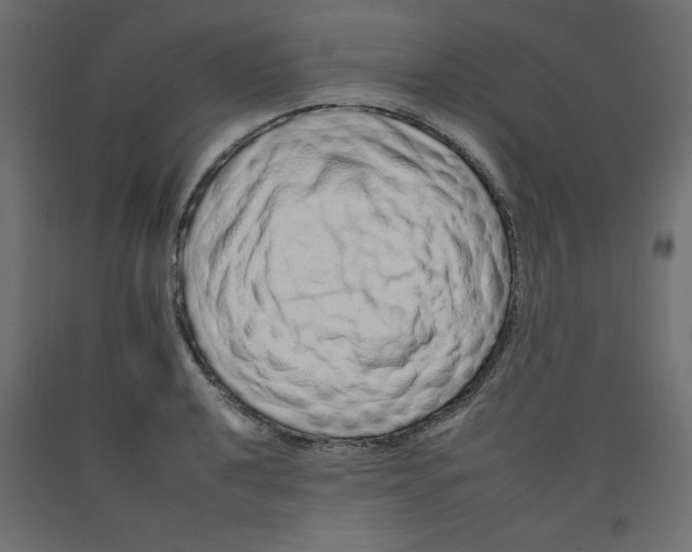 X0000092261040200710121335