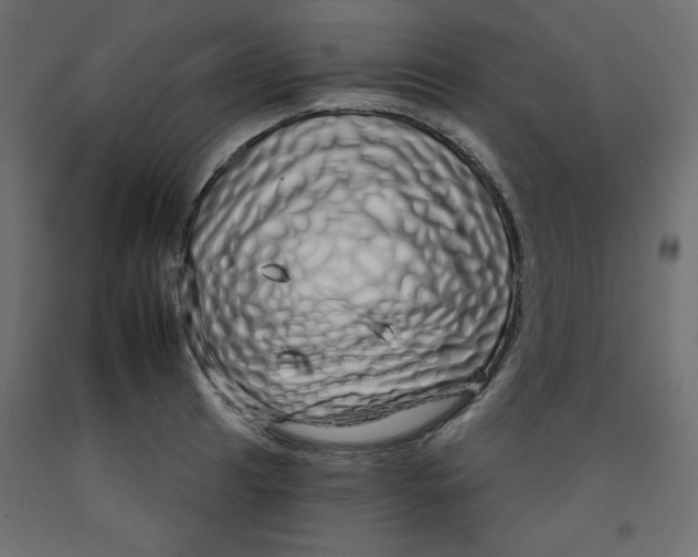 X0000092261041200710121335