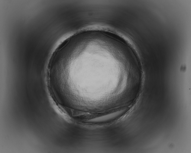 X0000092261042200710121335