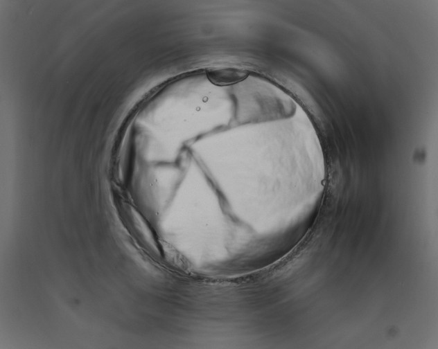 X0000092261043200710121335