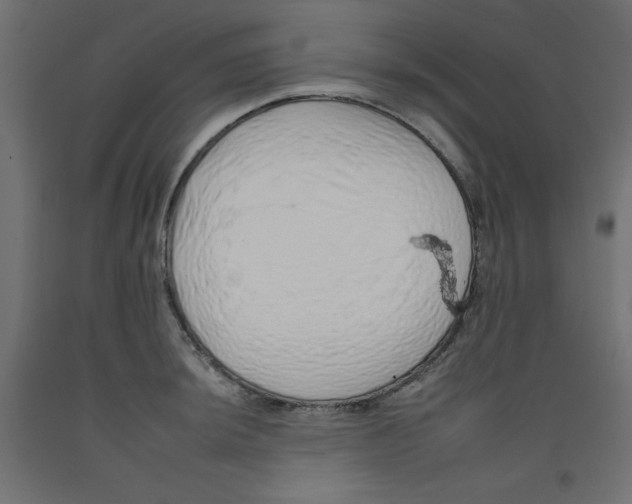 X0000092261044200710121335