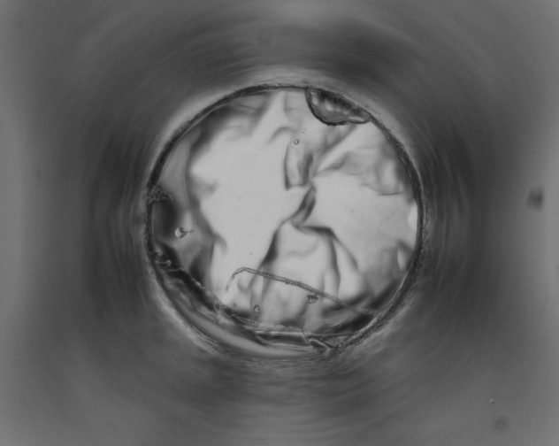 X0000092261045200710121335