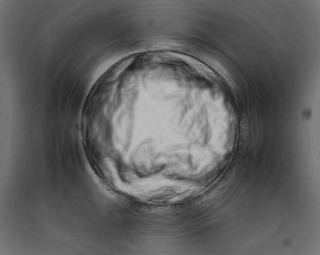 X0000092261047200710121335