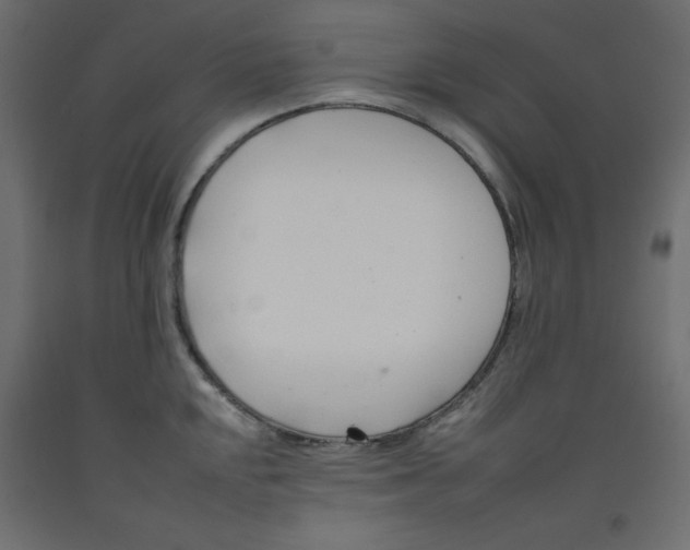 X0000092261048200710121335