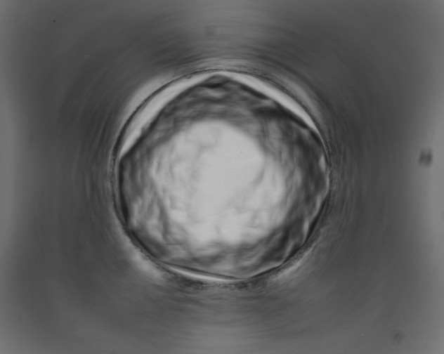 X0000092261050200710121335