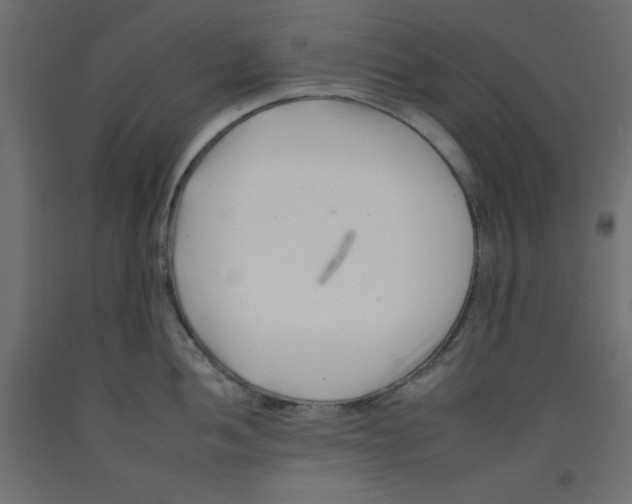 X0000092261052200710121335