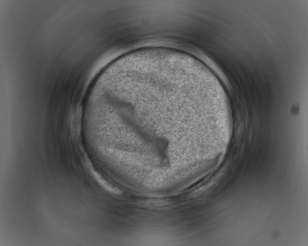 X0000092261053200710121335