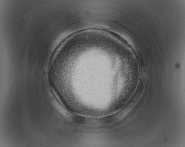 X0000092261054200710121335