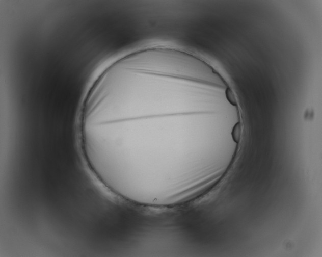 X0000092261056200710121335