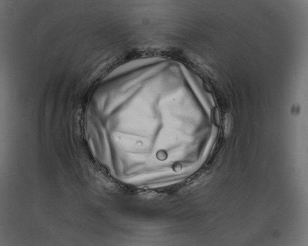 X0000092261059200710121334