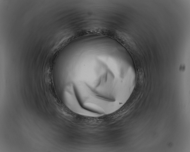 X0000092261060200710121334