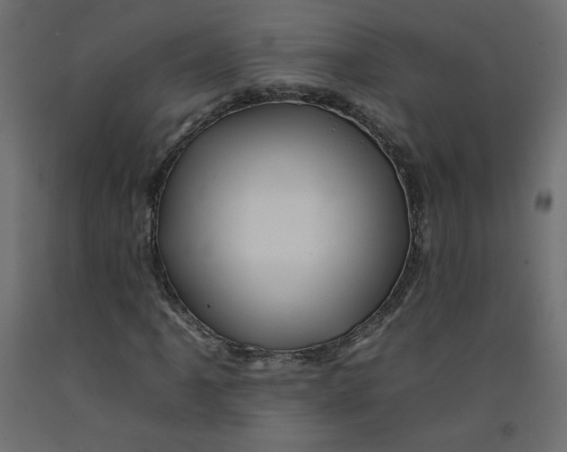 X0000092261061200710121334