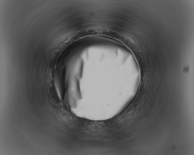 X0000092261062200710121334