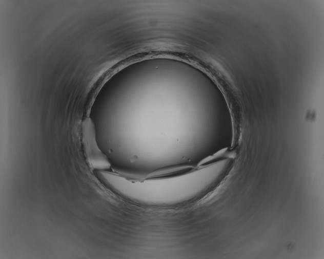 X0000092261065200710121334