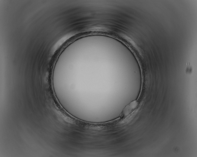 X0000092261066200710121334