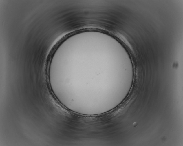 X0000092261068200710121334