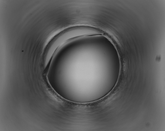 X0000092261069200710121334