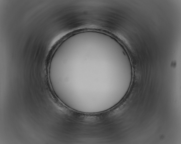 X0000092261070200710121334