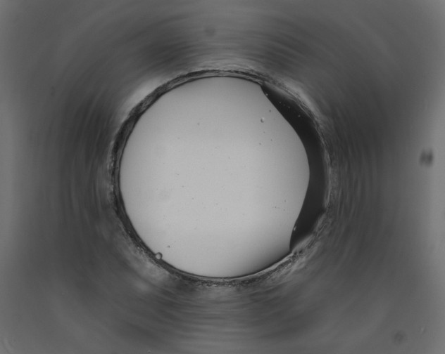 X0000092261071200710121334