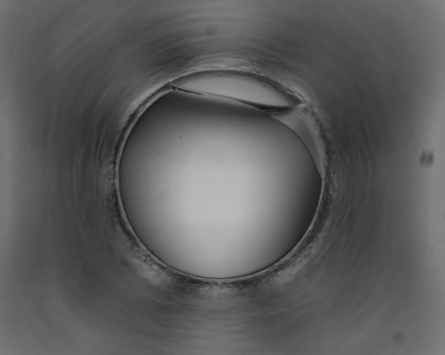 X0000092261073200710121334