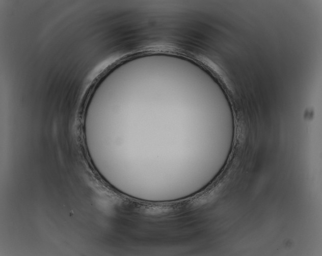 X0000092261074200710121334