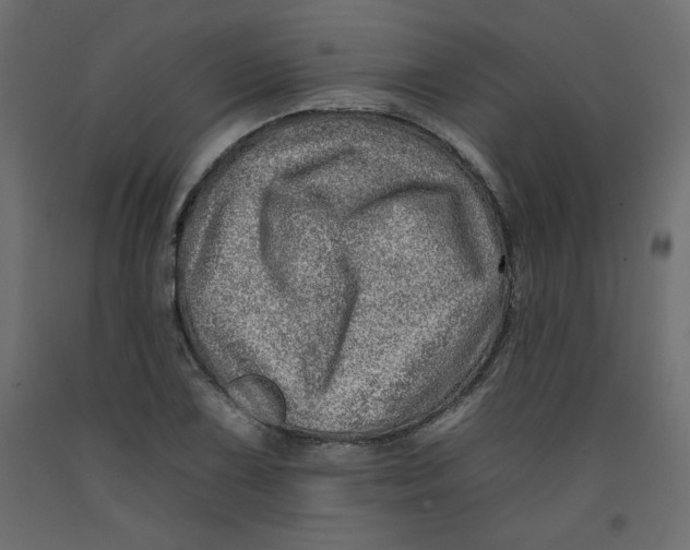 X0000092261075200710121334