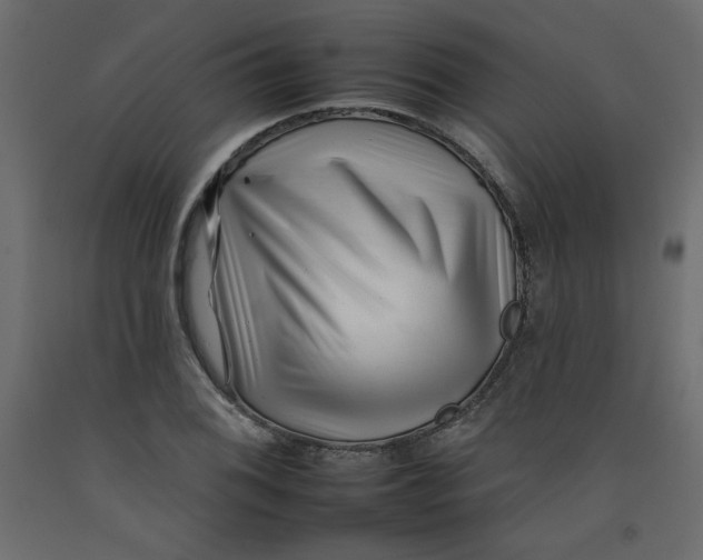 X0000092261076200710121334