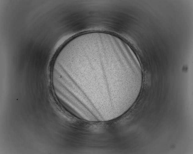 X0000092261078200710121334