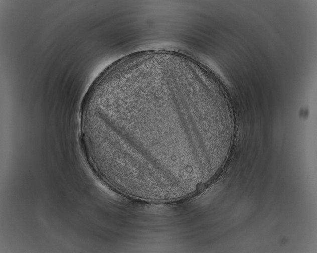 X0000092261079200710121334