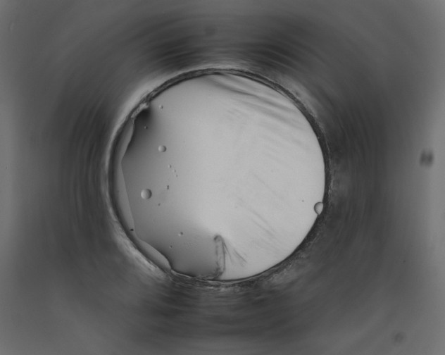 X0000092261080200710121334