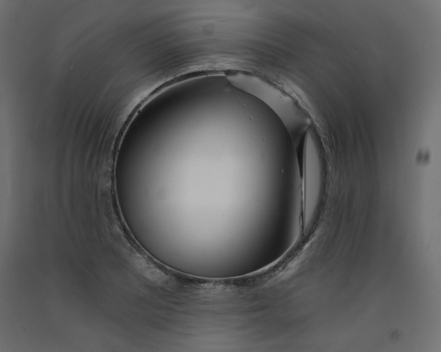 X0000092261081200710121334