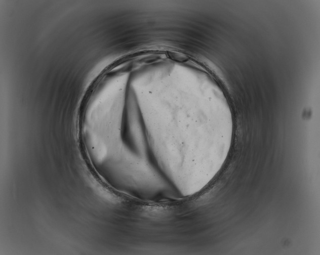 X0000092261082200710121334