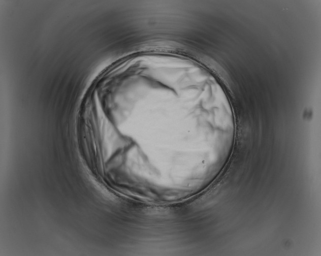 X0000092261083200710121334