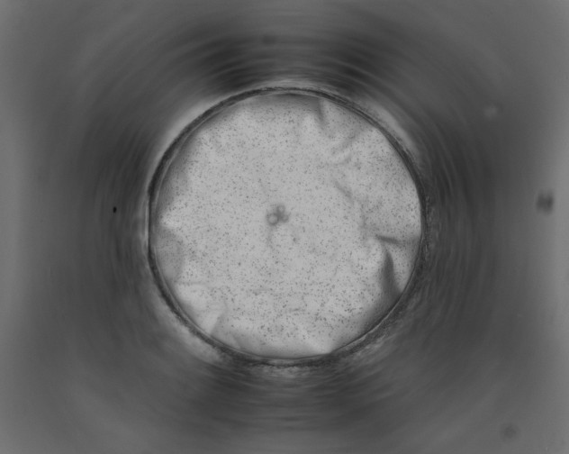 X0000092261084200710121334