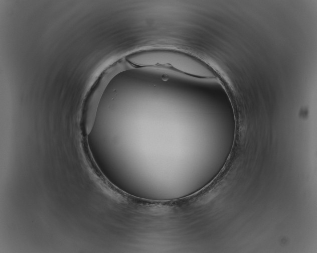 X0000092261085200710121334