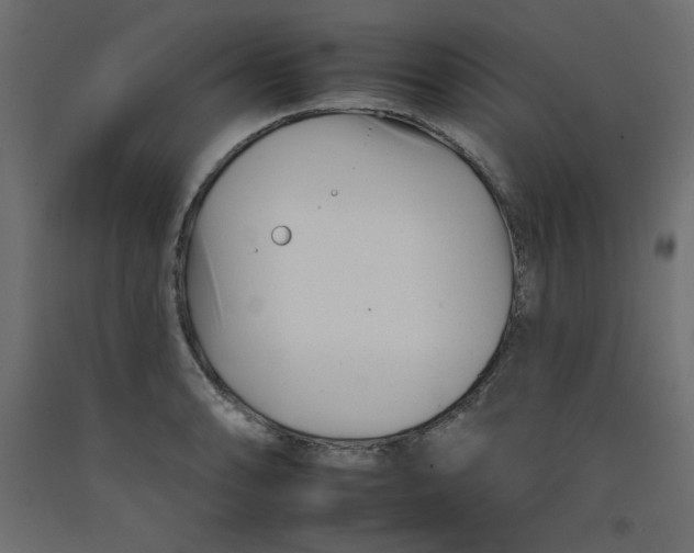 X0000092261086200710121334