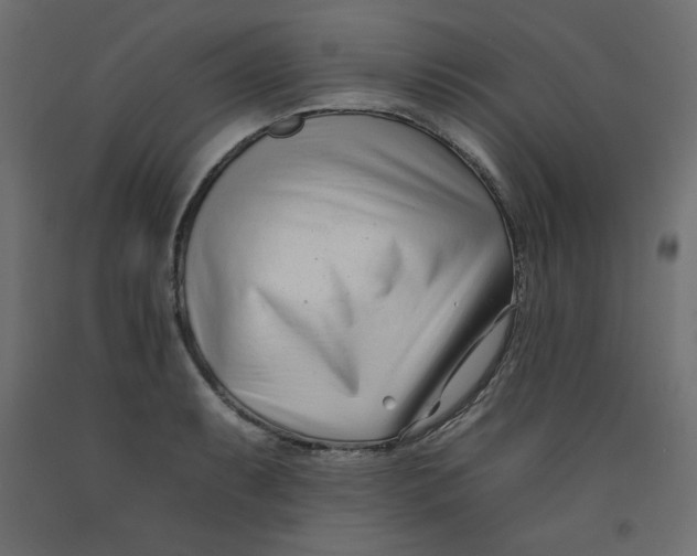 X0000092261087200710121334